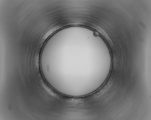 X0000114500842200911091108