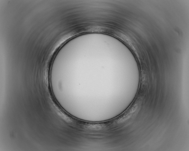 X0000114500843200911091108