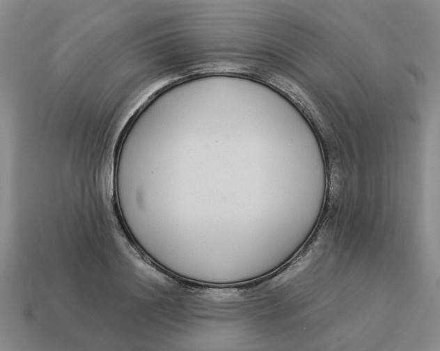 X0000114500844200911091108
