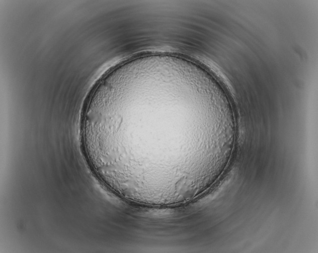 X0000114500845200911091108