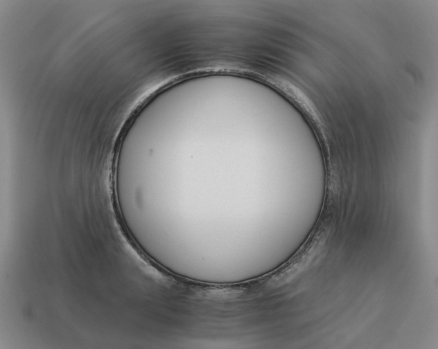 X0000114500847200911091108