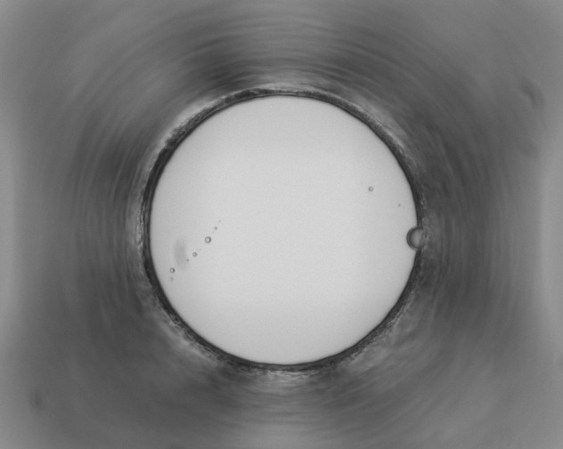 X0000114500848200911091108