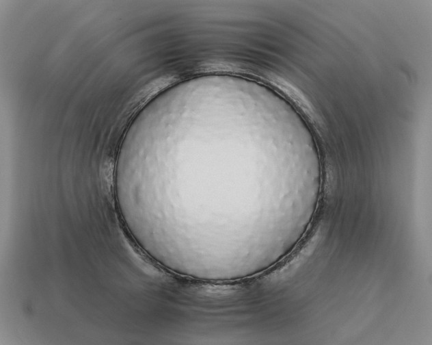 X0000114500849200911091108