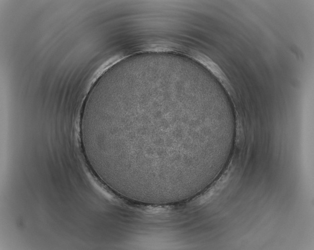 X0000114500850200911091108
