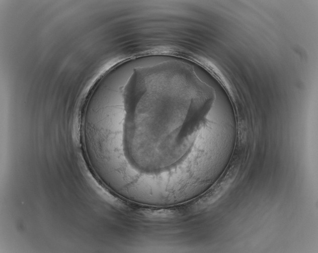 X0000114500851200911091108