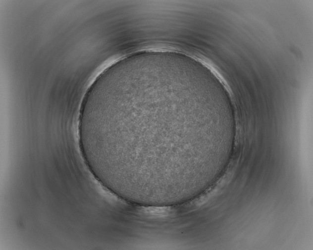 X0000114500853200911091108