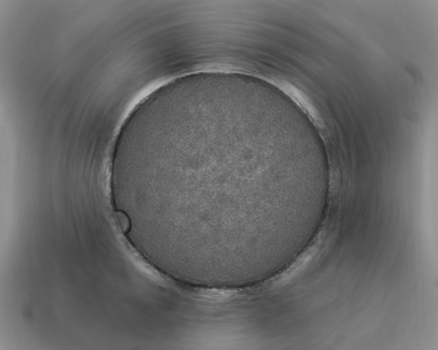 X0000114500854200911091108