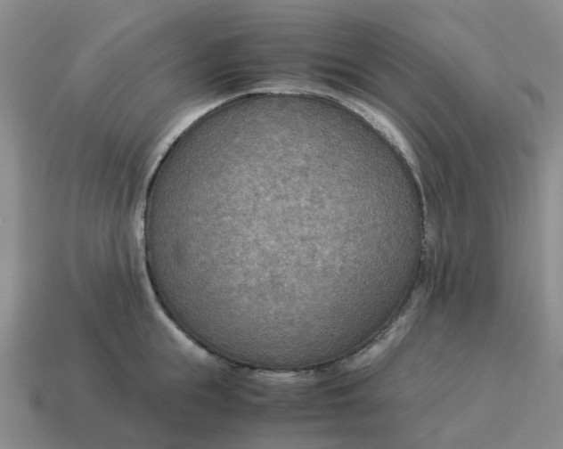 X0000114500855200911091108