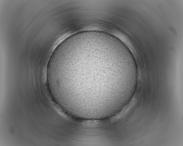 X0000114500858200911091108