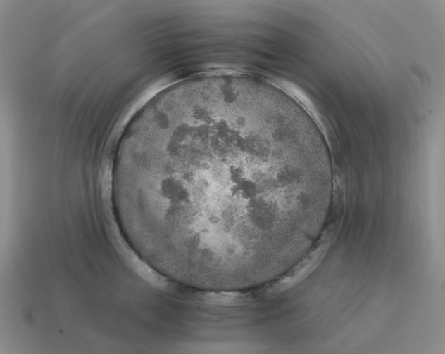 X0000114500859200911091108