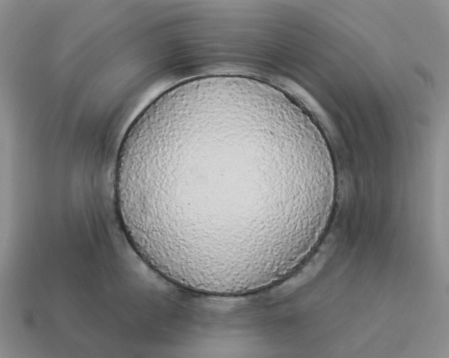 X0000114500860200911091108