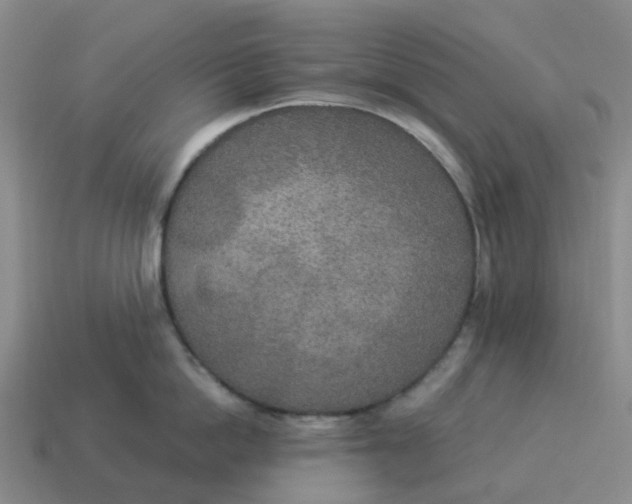 X0000114500862200911091108