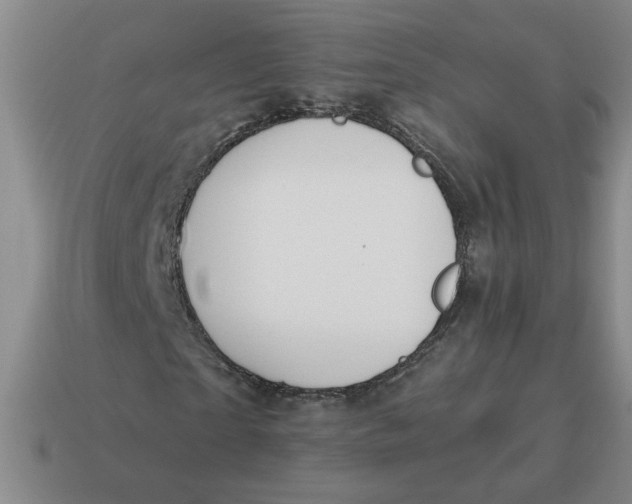 X0000114500865200911091107