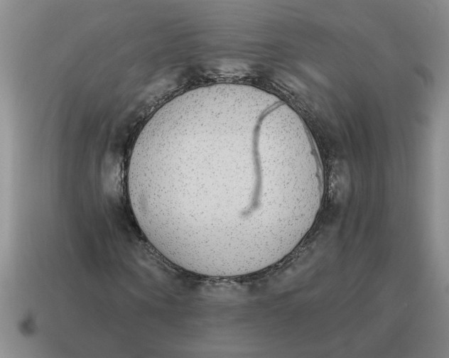 X0000114500866200911091107