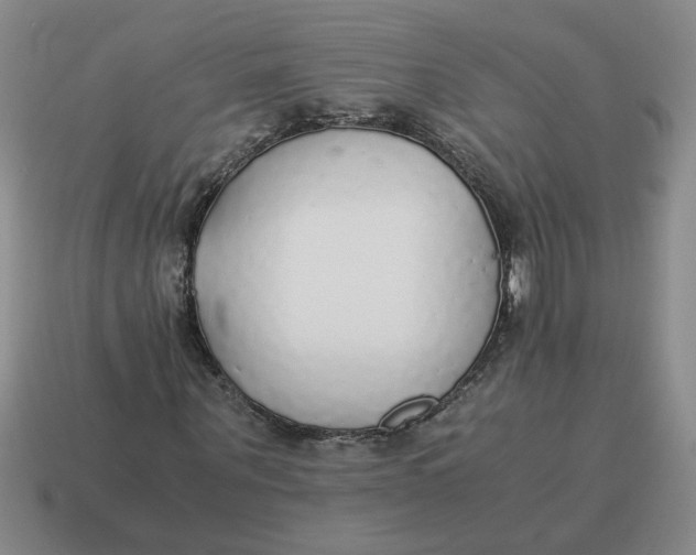 X0000114500867200911091107
