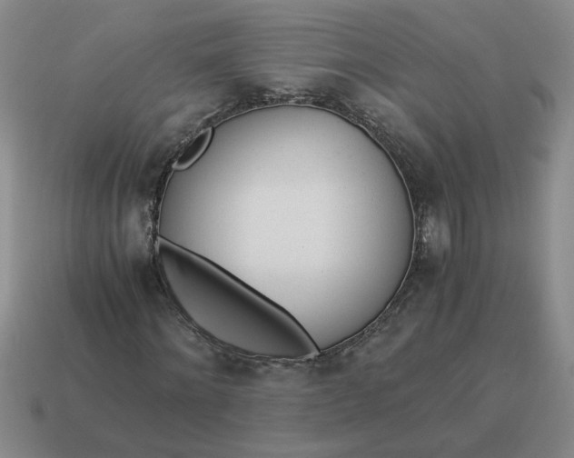 X0000114500868200911091107