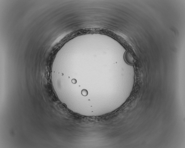 X0000114500871200911091107