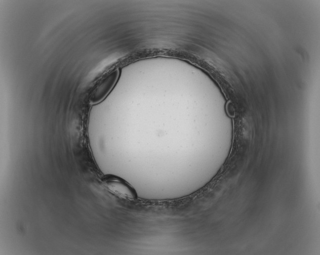X0000114500872200911091107