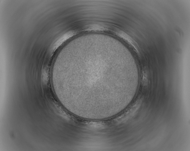 X0000114500874200911091107