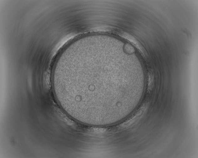 X0000114500878200911091107