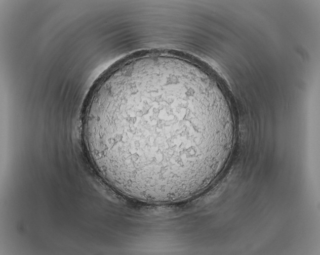X0000114500879200911091107