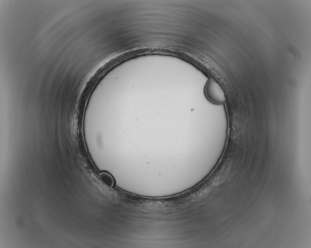 X0000114500880200911091107