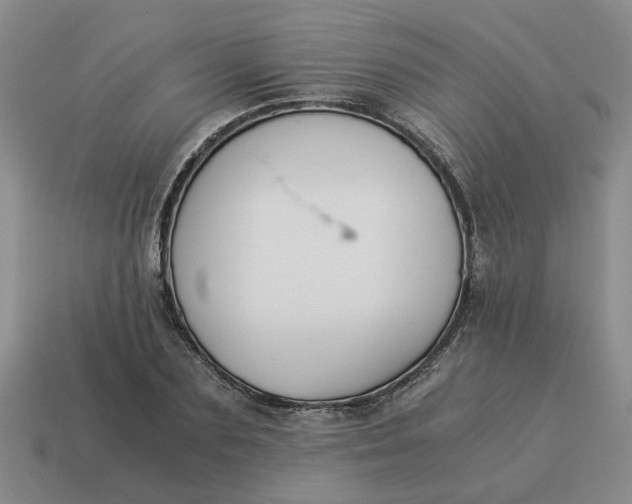 X0000114500883200911091107
