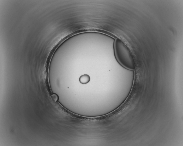 X0000114500885200911091107