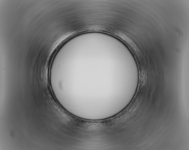 X0000114500886200911091107