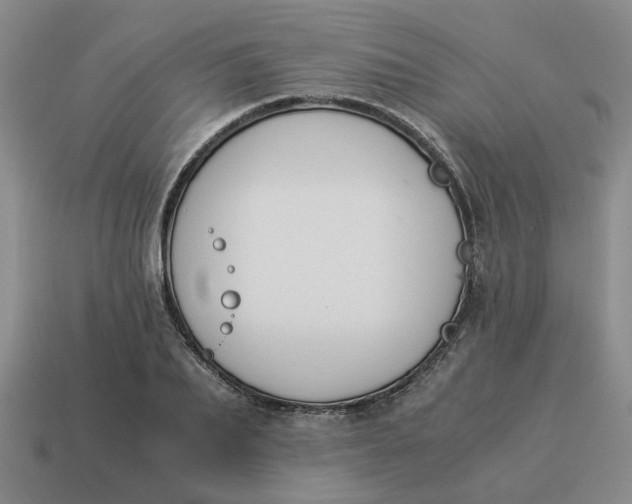X0000114500887200911091107