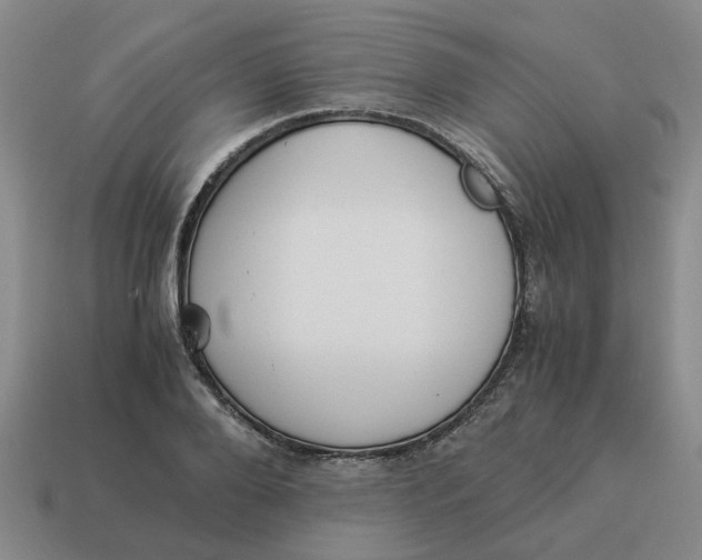 X0000114500888200911091107