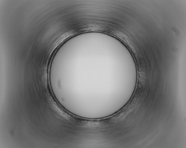 X0000114500890200911091107