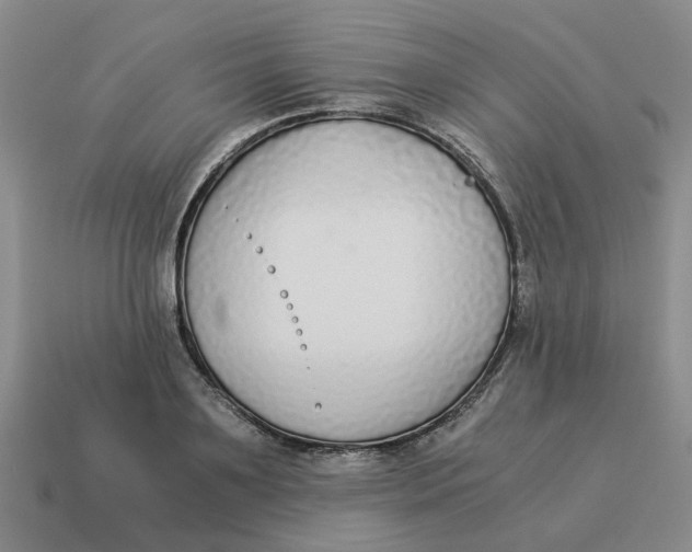 X0000114500891200911091107