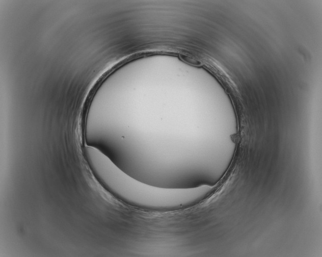 X0000114500892200911091107