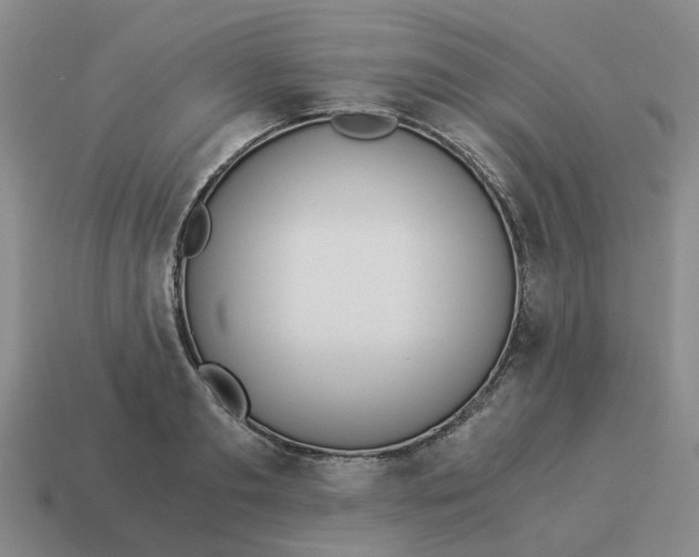 X0000114500893200911091107