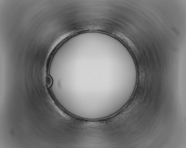 X0000114500894200911091107