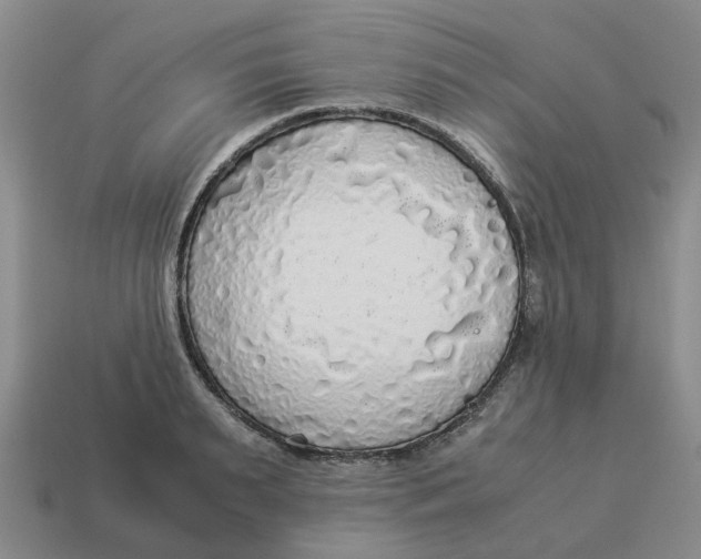 X0000114500895200911091107