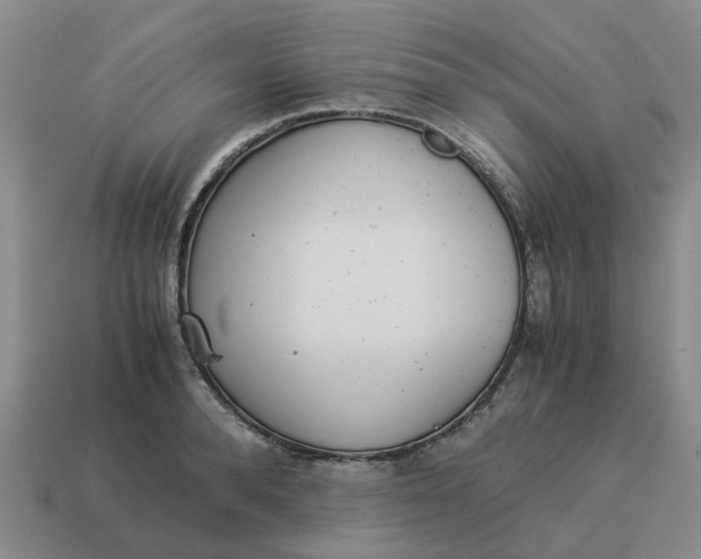 X0000114500896200911091107