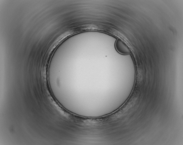 X0000114500898200911091107