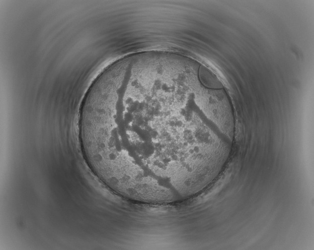 X0000114500899200911091107