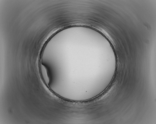 X0000114500901200911091107