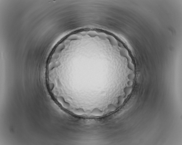 X0000114500903200911091107