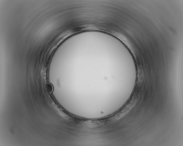 X0000114500906200911091107