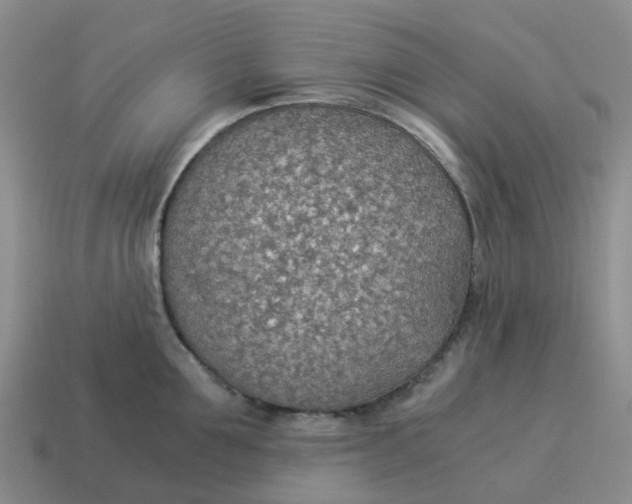 X0000114500907200911091107
