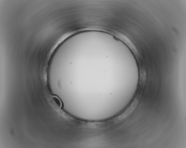 X0000114500908200911091107