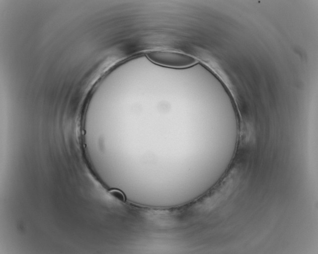 X0000114500909200911091107