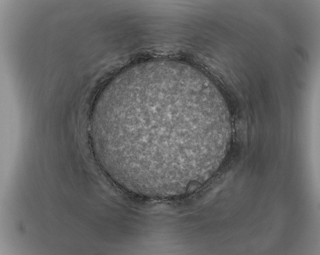 X0000114500913200911091106
