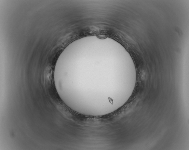 X0000114500914200911091106