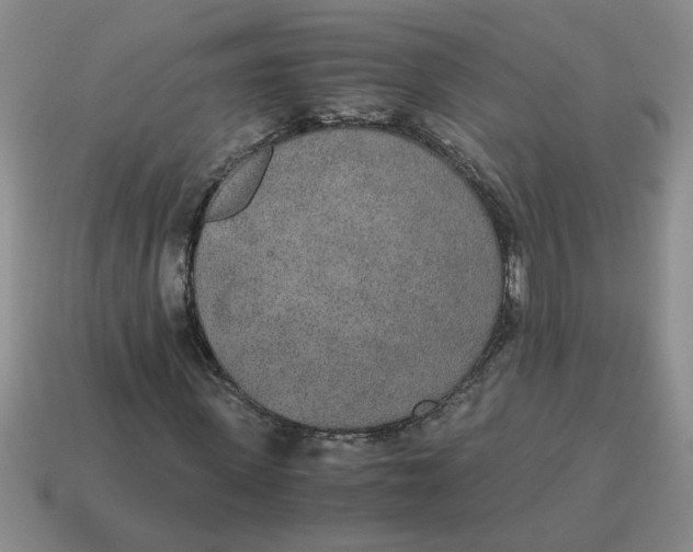 X0000114500915200911091106