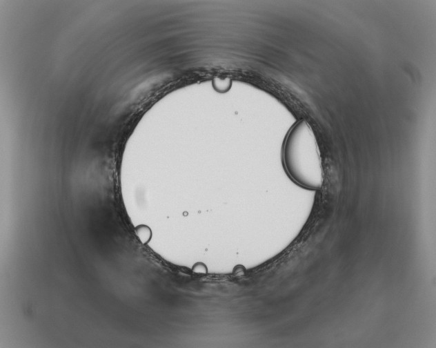 X0000114500918200911091106